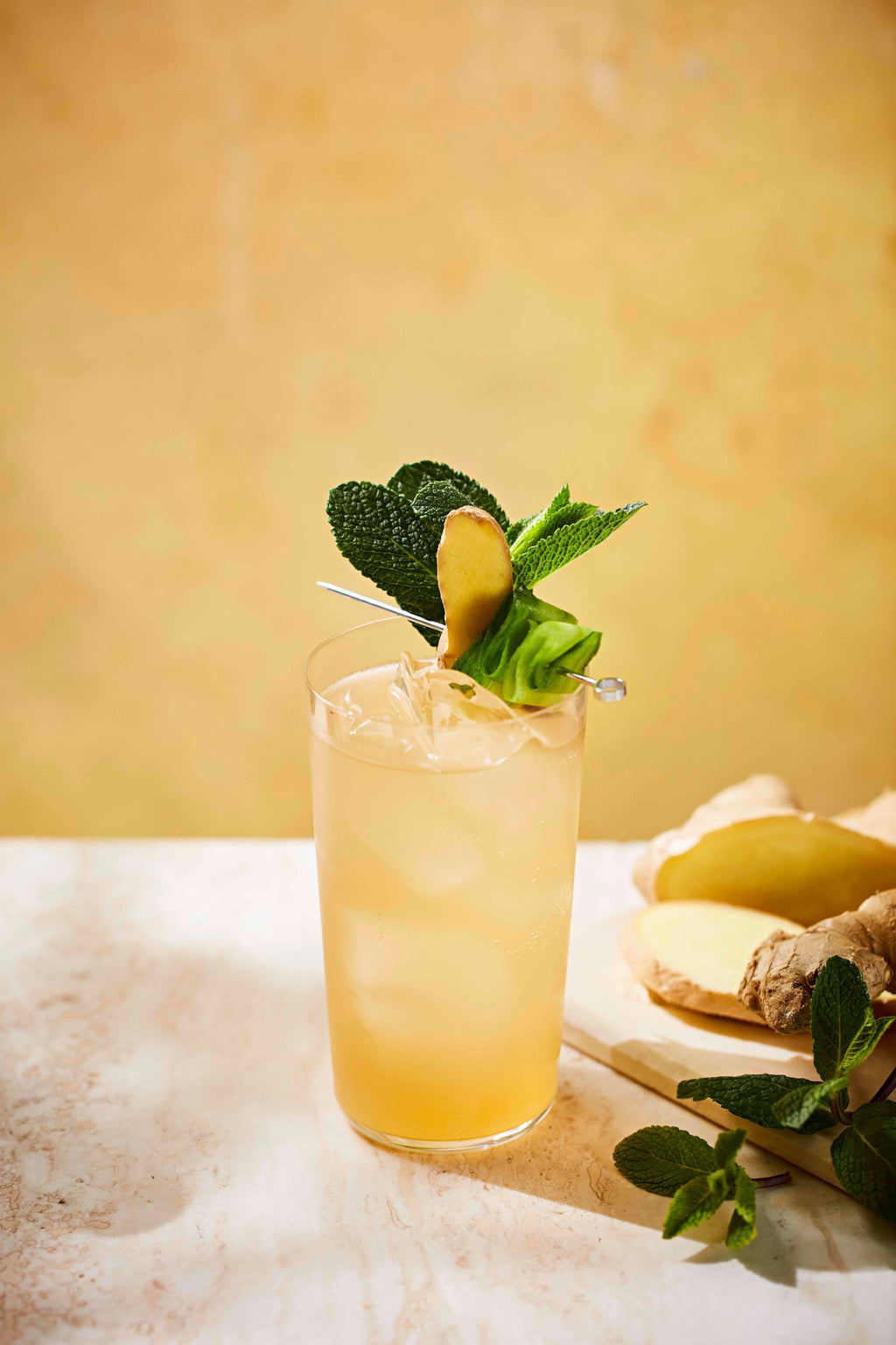 A highball of Botivo and ginger kombucha garnished with mint and fresh ginger
