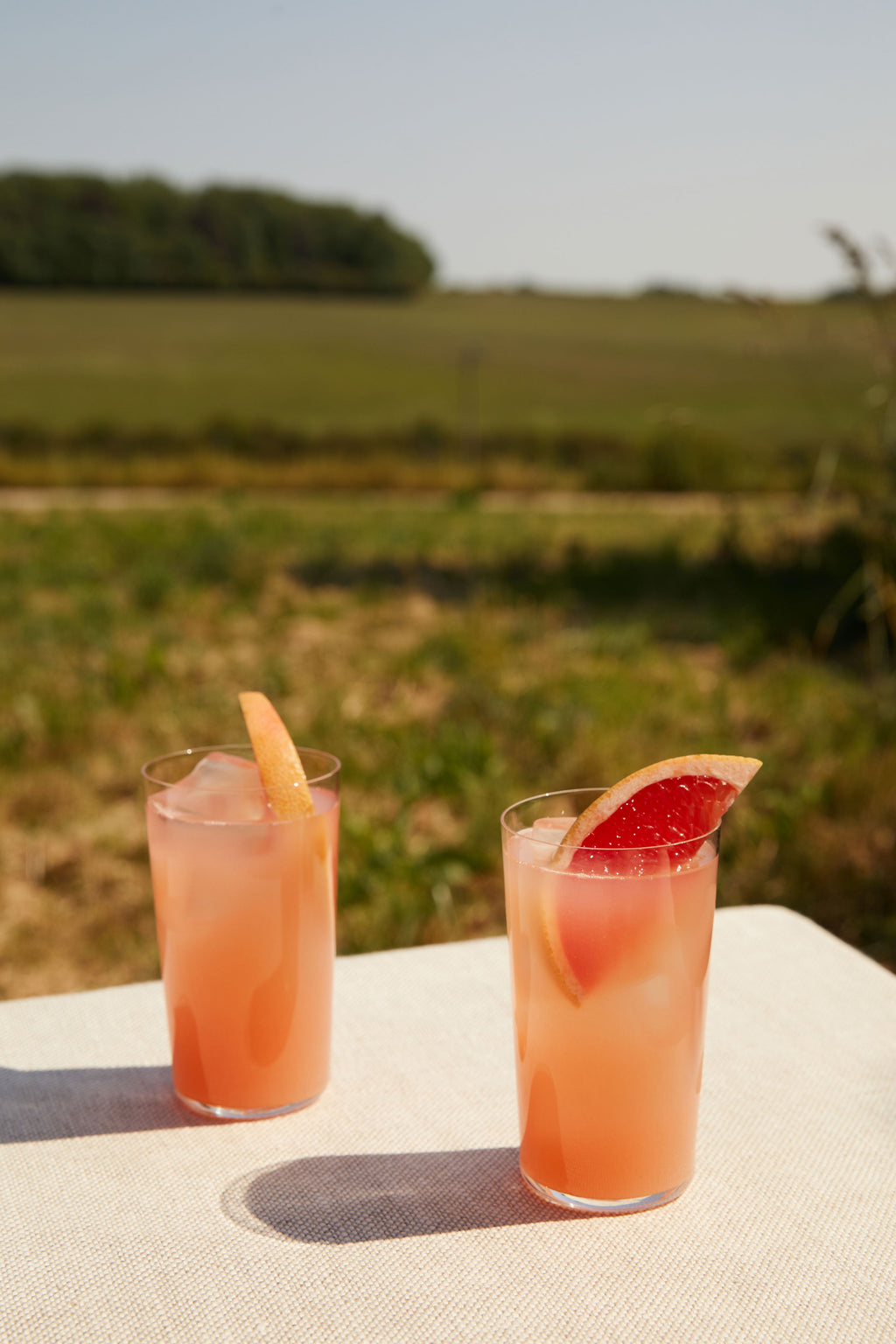 Two Botivo Palomas with pink grapefruit wedges on a table in a field