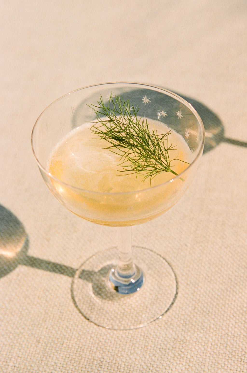 A Smoky Apricot in a coupe with a fennel frond, shot from above on linen