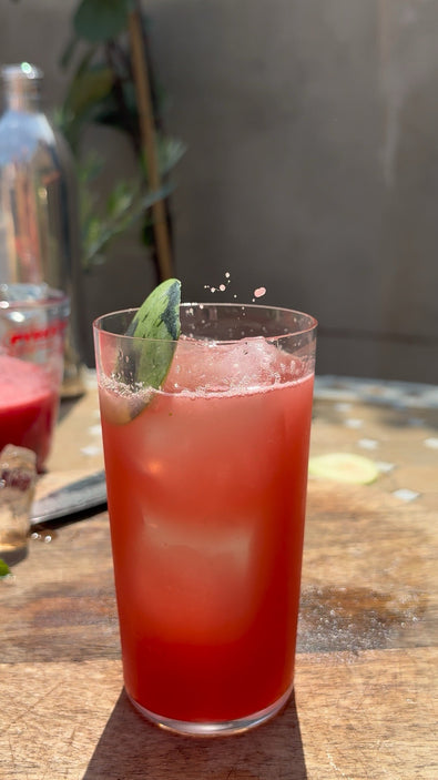  Watermelon Highball 